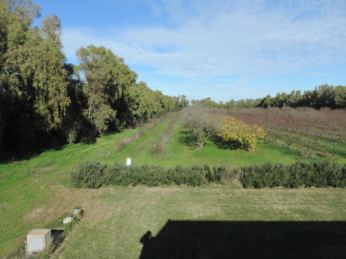 Agriturismo I Doni Del Mandorlo Alghero Exterior foto